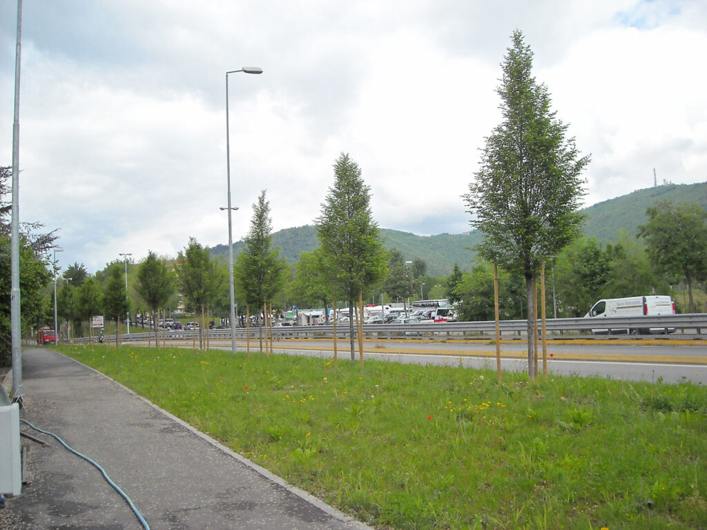 2010 – Adunata Bergamo