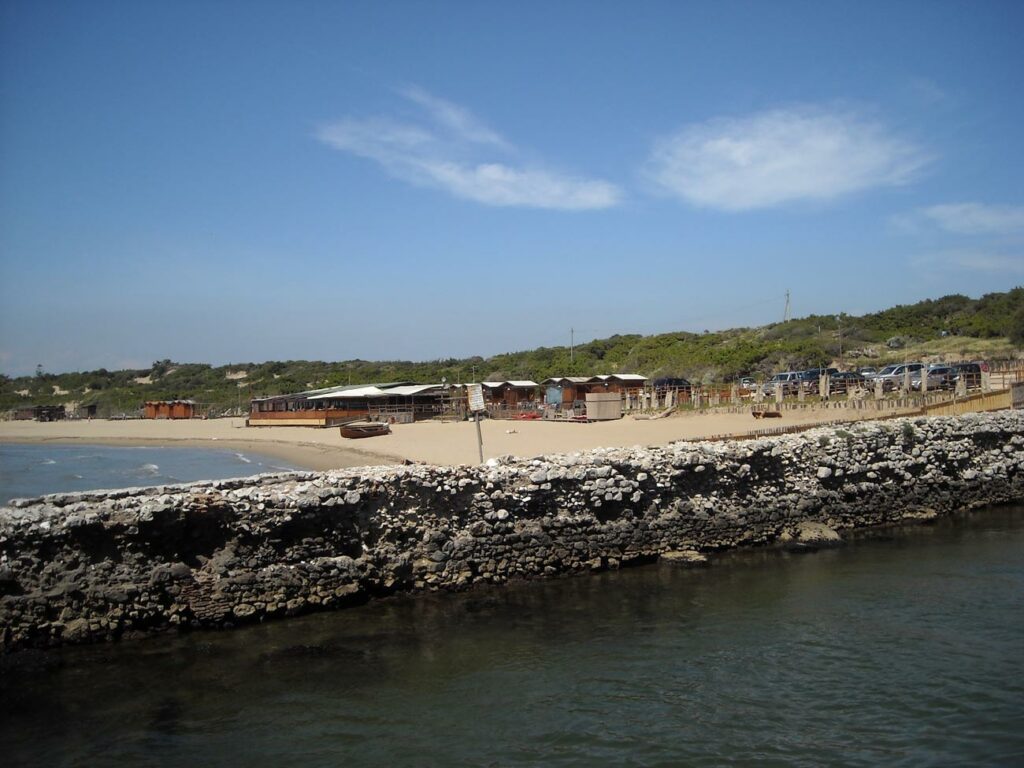 2009 - Adunata Latina
