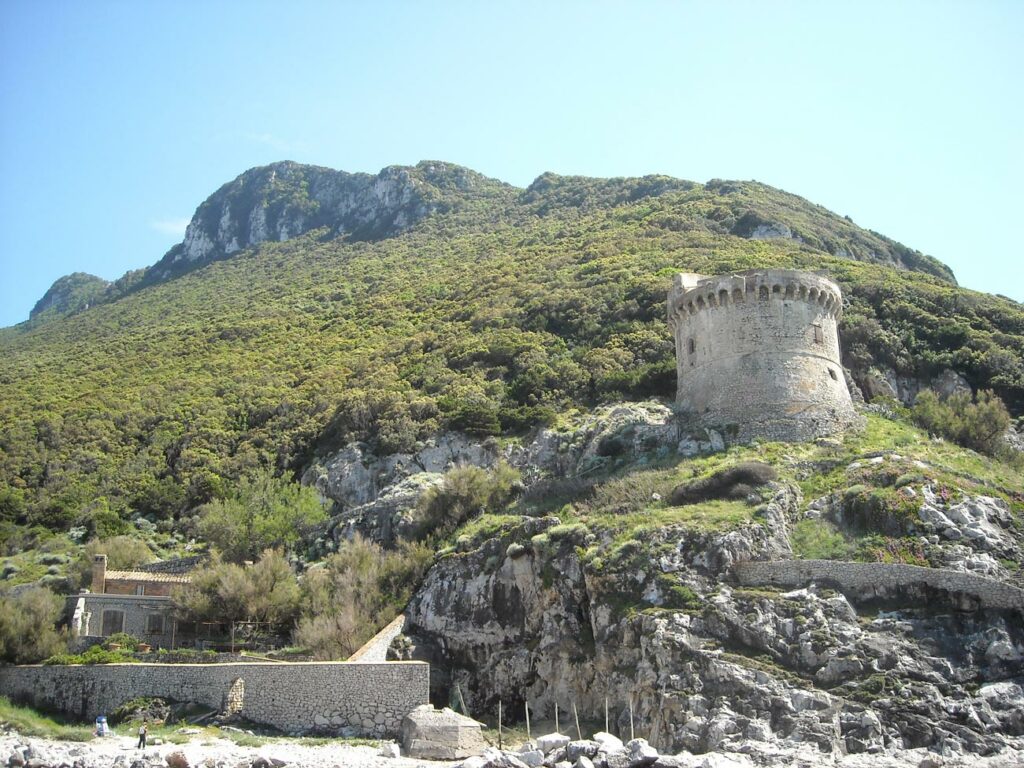 2009 - Adunata Latina