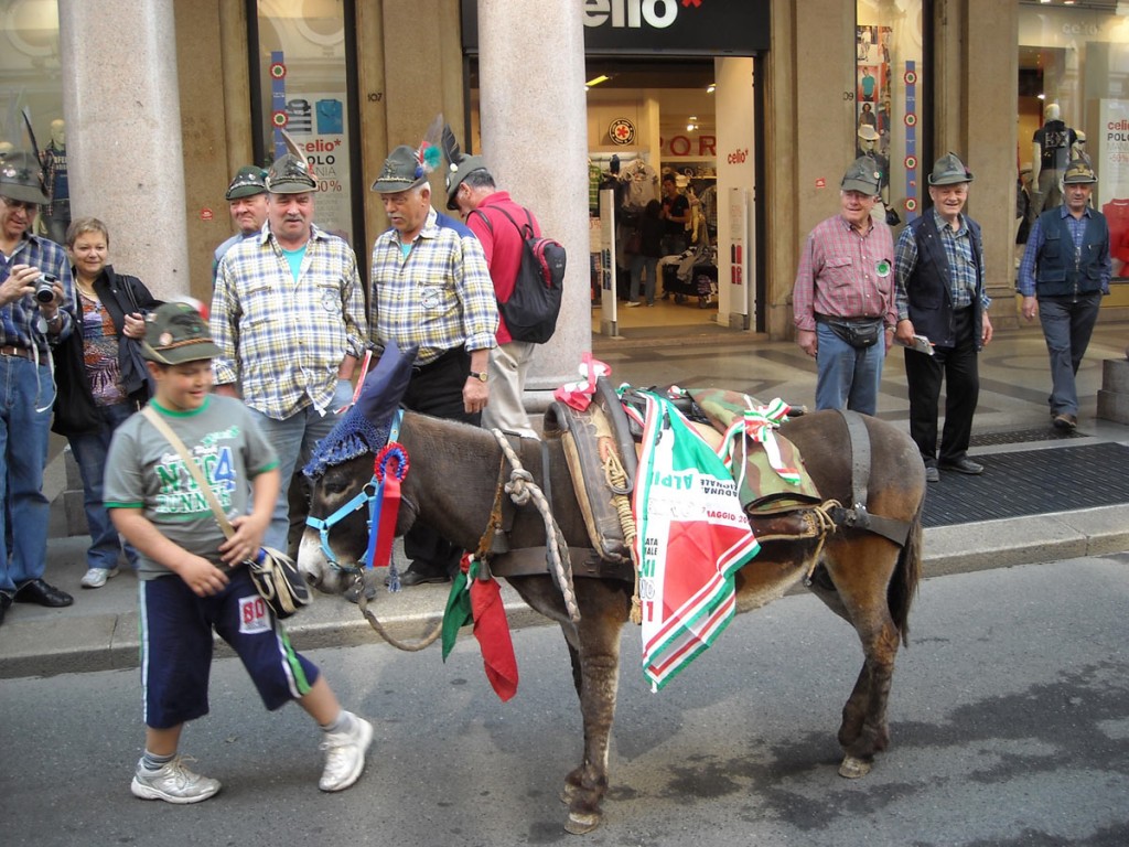 2011 - Adunata Torino