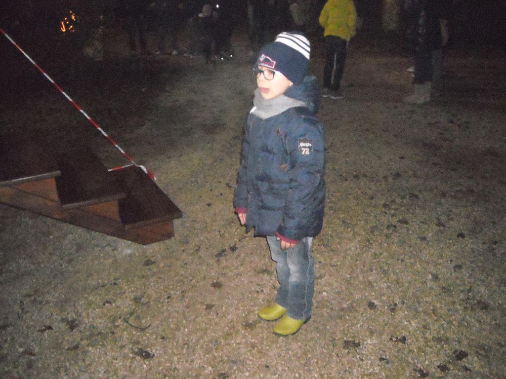 Falò della Befana 2013