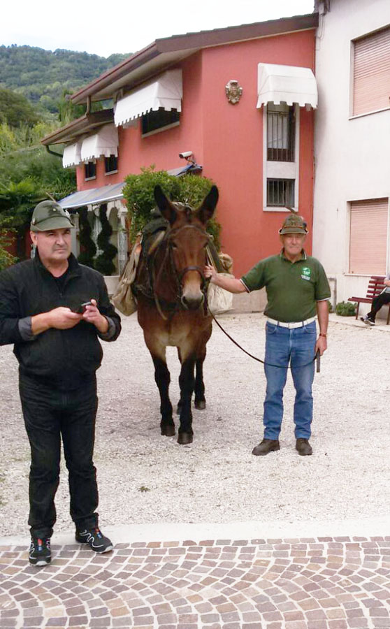 Raduno Triveneto - Chiampo 2017