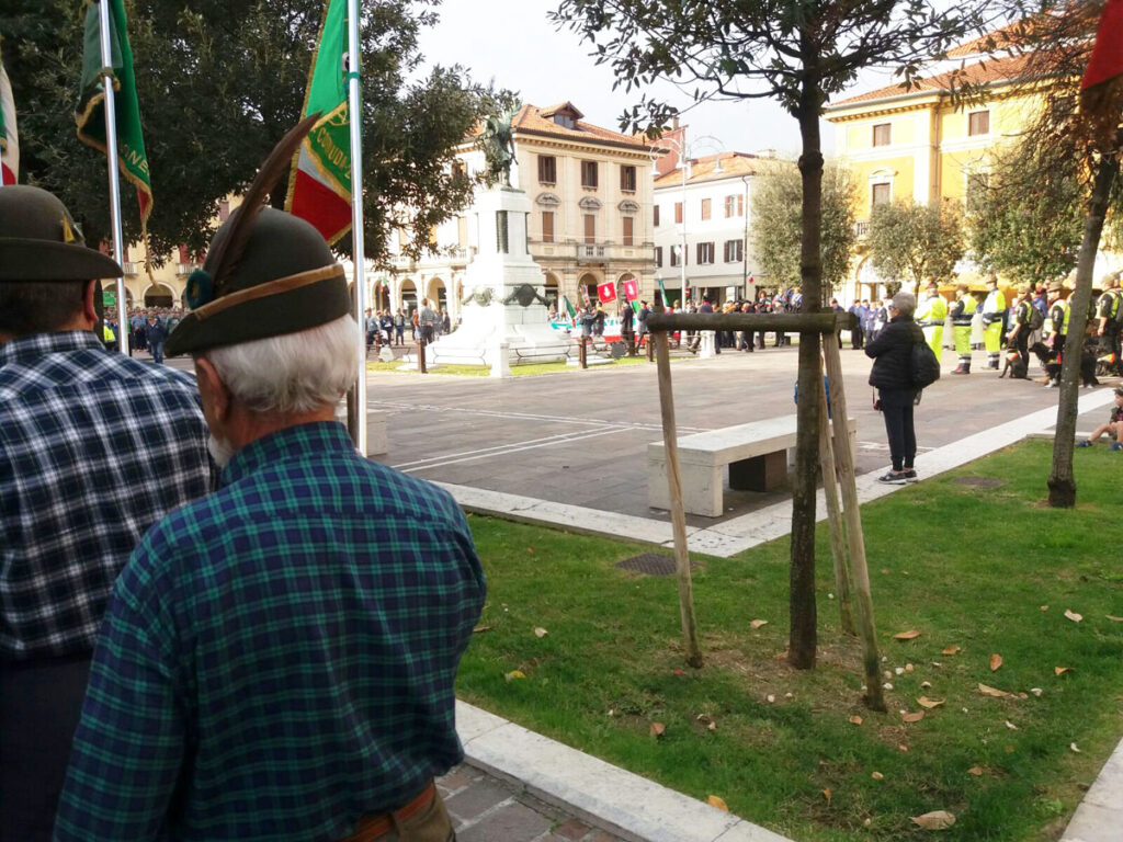 Adunata sezionale - Mogliano 2017